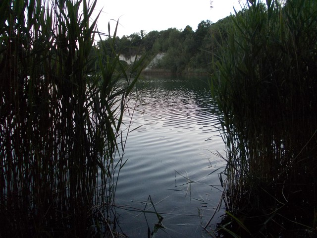 Image for Kreidebergsee 2014-48