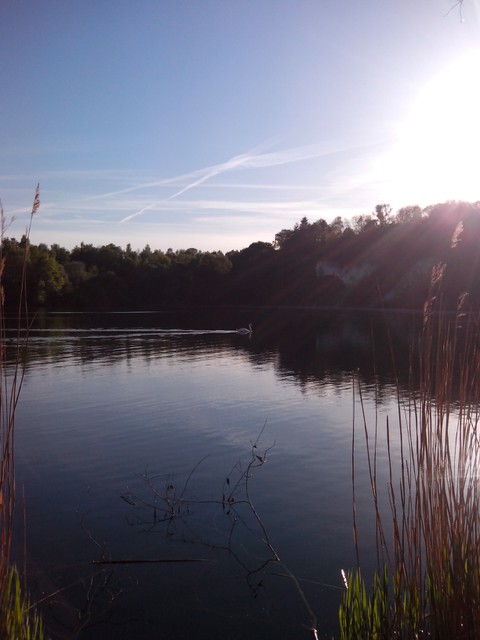 Image for Kreidebergsee 2015-14