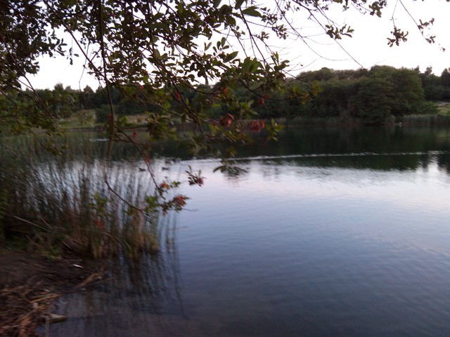 Image for Kreidebergsee 2014-91