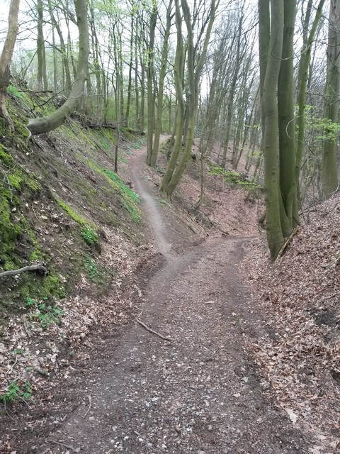 Image for Dalbekschlucht 2017-01