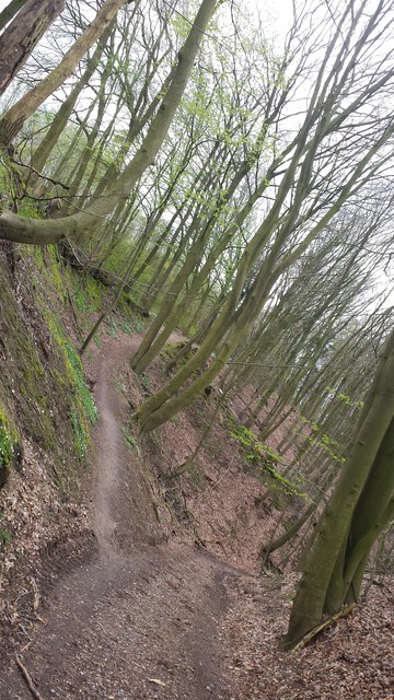 Image for Dalbekschlucht 2017-03