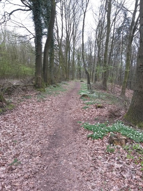 Image for Dalbekschlucht 2017-05