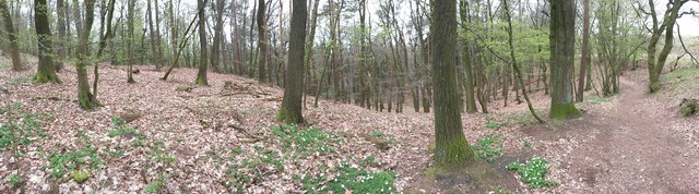 Image for Dalbekschlucht 2017-06