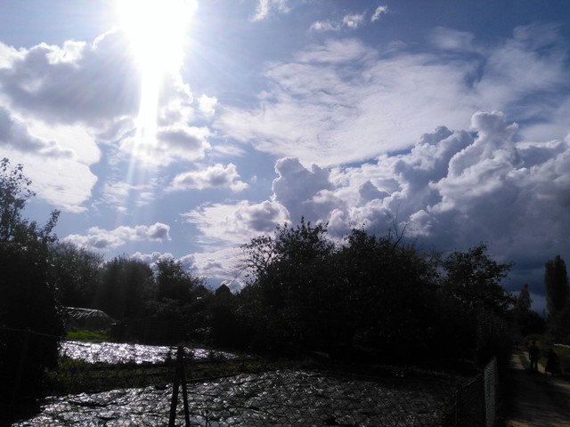 Image for Himmel 2017-19