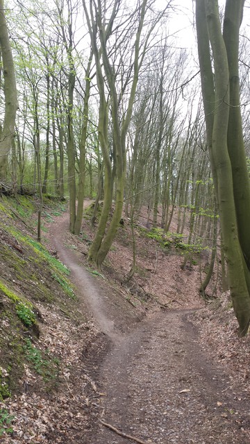 Image for Dalbekschlucht 2017-02