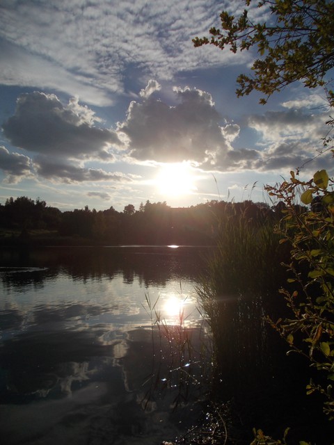 Image for Kreidebergsee 2014-27