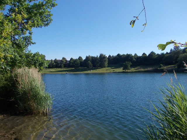 Image for Kreidebergsee 2014-29