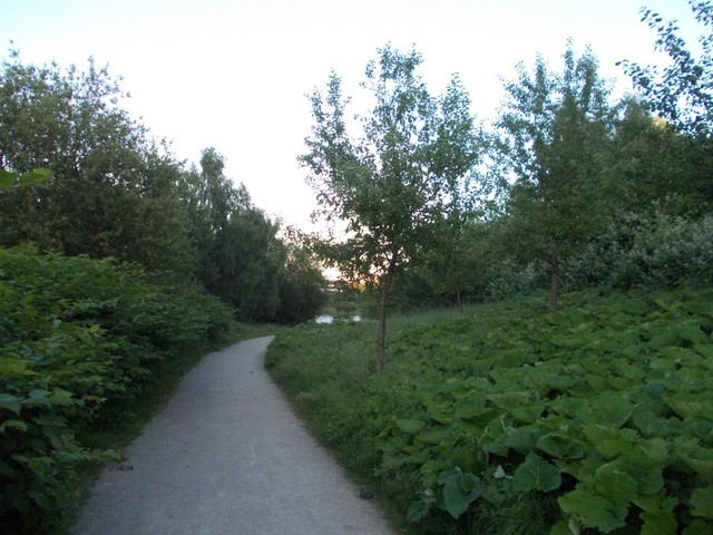 Image for Kreidebergsee 2014-44